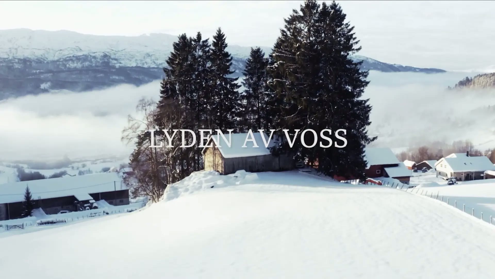 The Sound of Voss — Part 1
